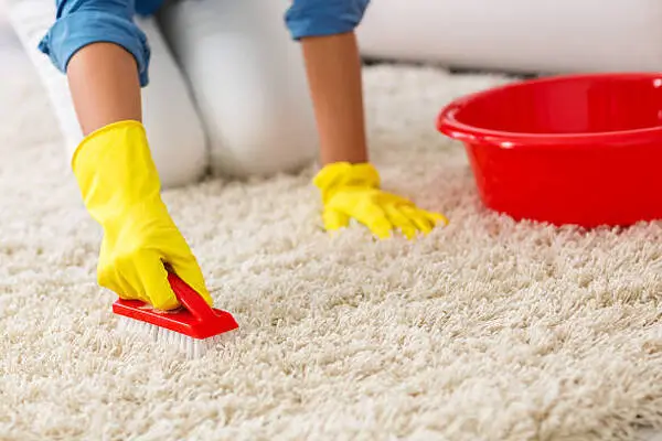 Professional home cleaner in Severn, MD